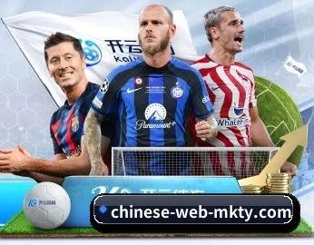 MK体育 APP